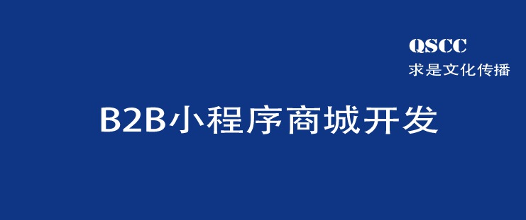 B2B 小程序商城开发 
